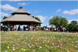 Eggs Scattered on Lawn by Gazebo